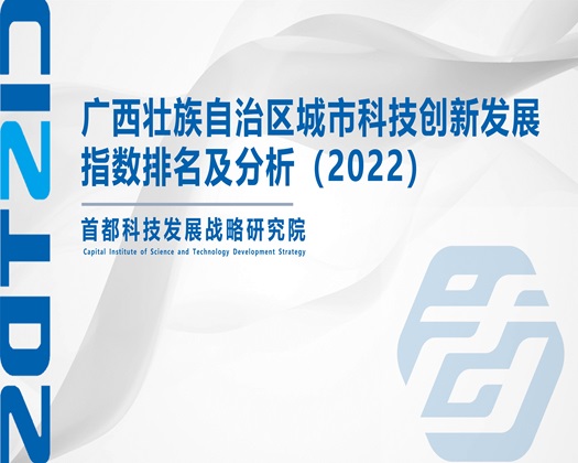 大粗屌爆操小嫩逼视频【成果发布】广西壮族自治区城市科技创新发展指数排名及分析（2022）